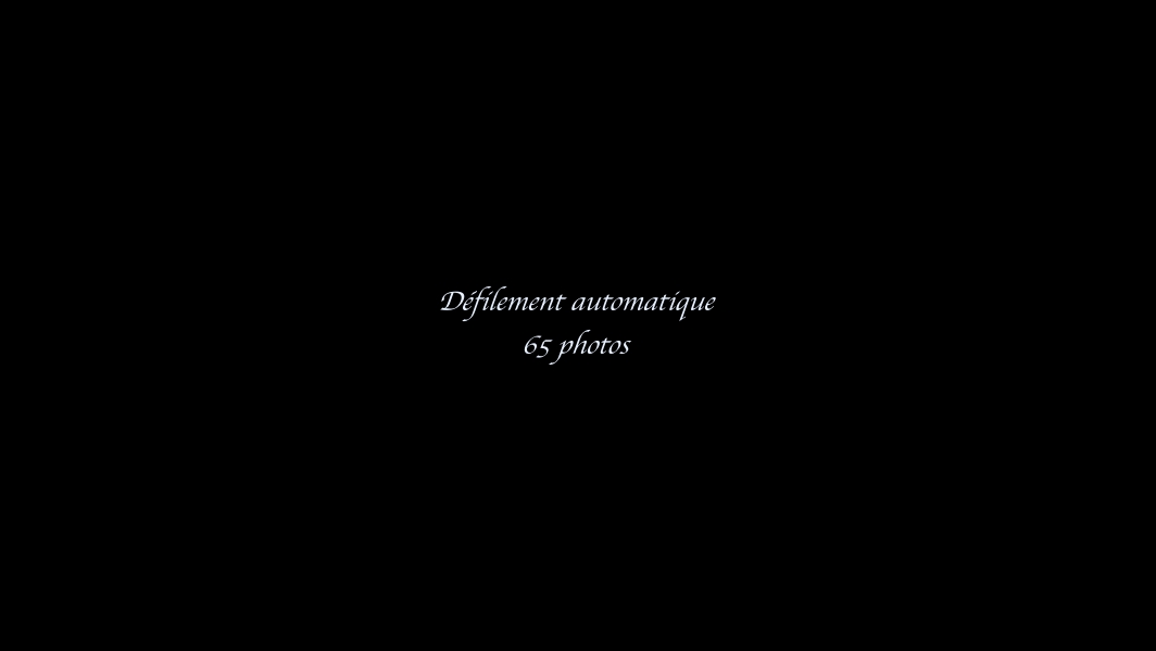 Slide 99